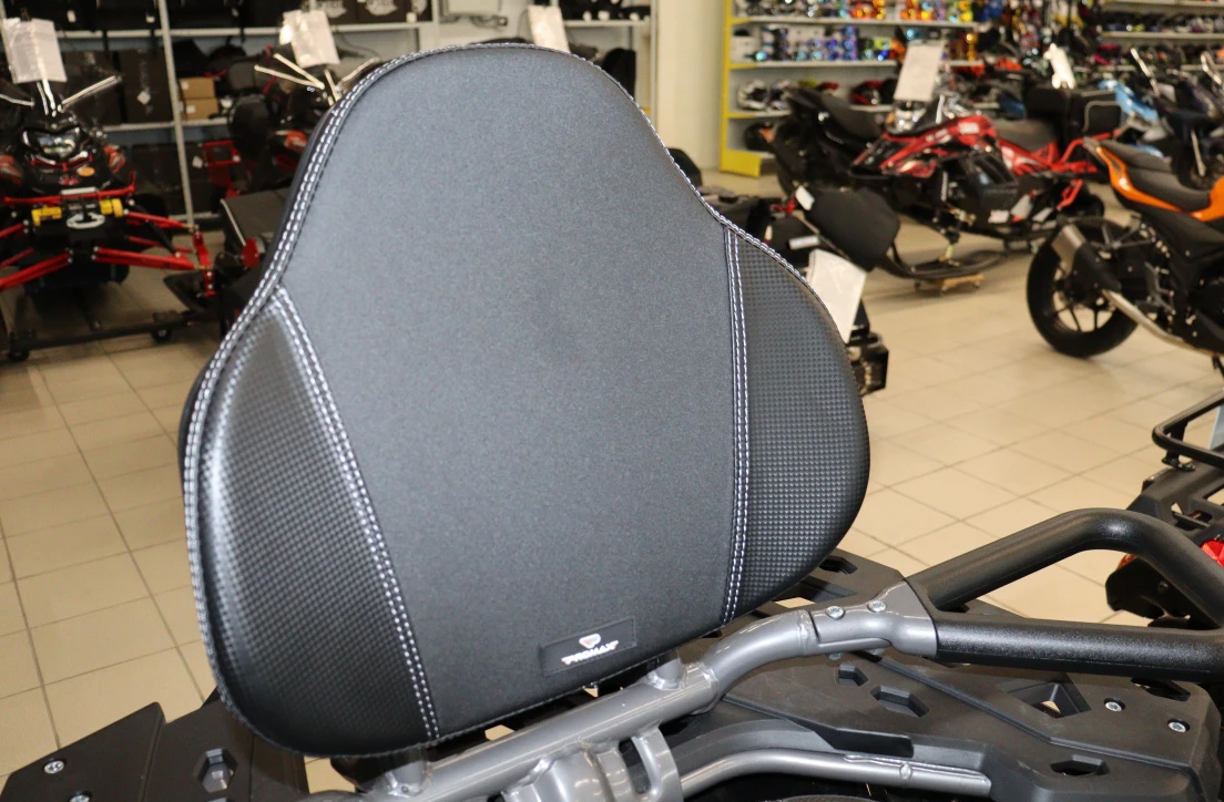 Квадроцикл PROMAX RENEGADE 300 LONG WINCH PRO (2025) в Коломне