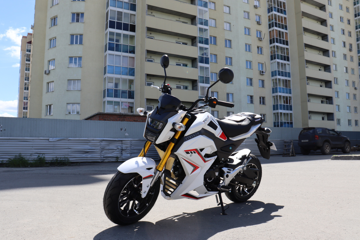 Мотоцикл PROMAX STRYKER 200(49) 2.0 в Коломне