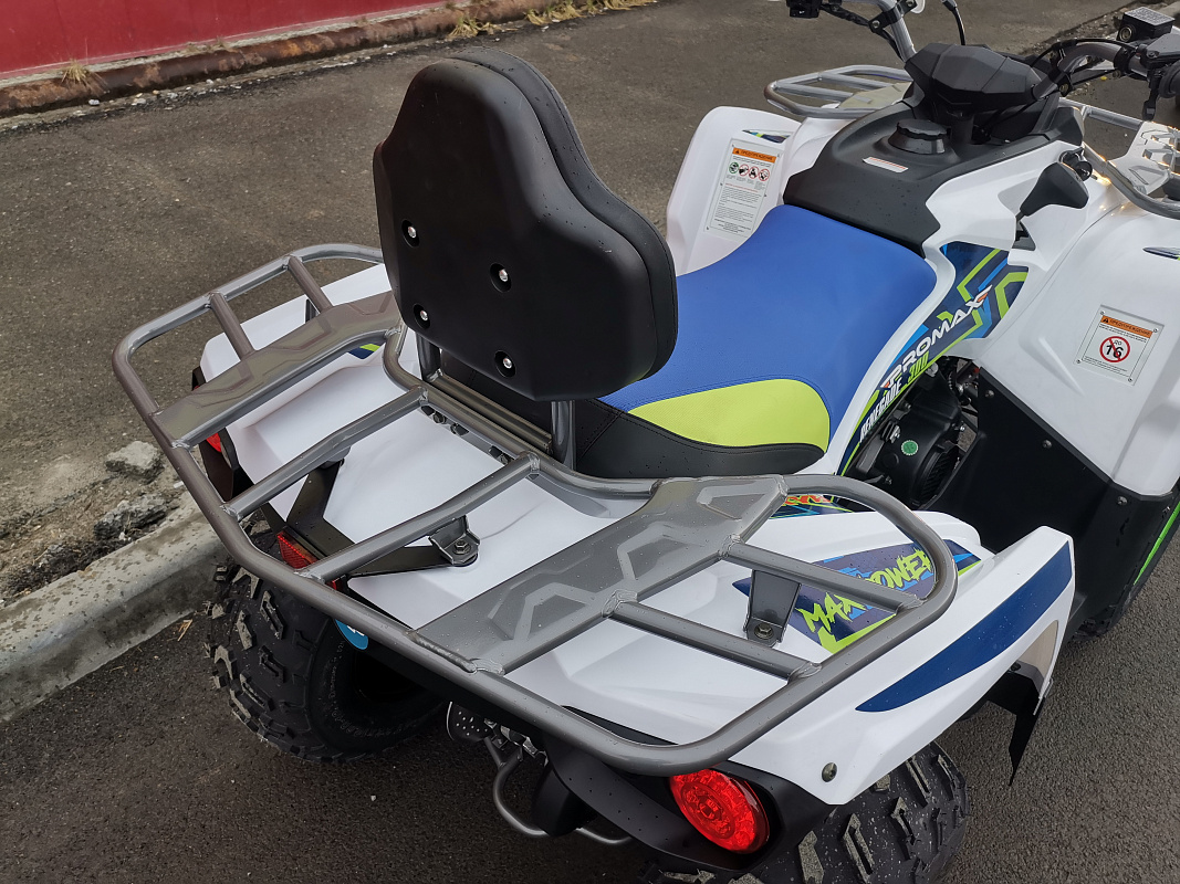 Квадроцикл PROMAX RENEGADE 280 LUX (2025) в Коломне
