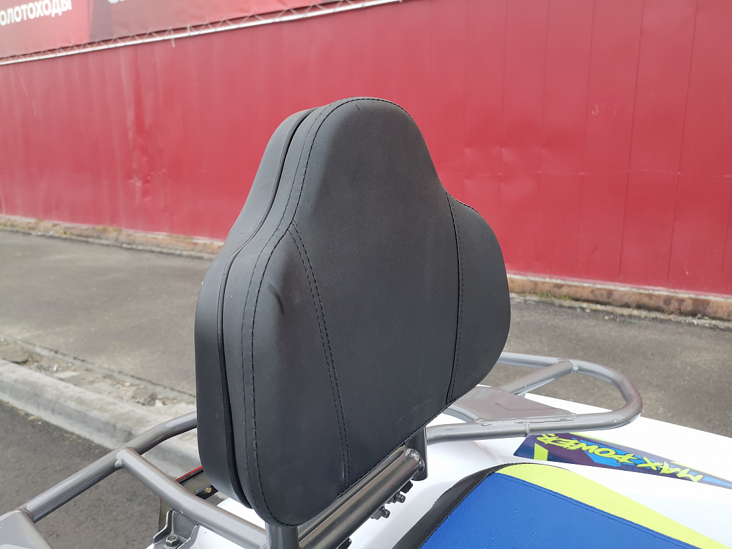 Квадроцикл PROMAX RENEGADE 280 LUX (2025) в Коломне