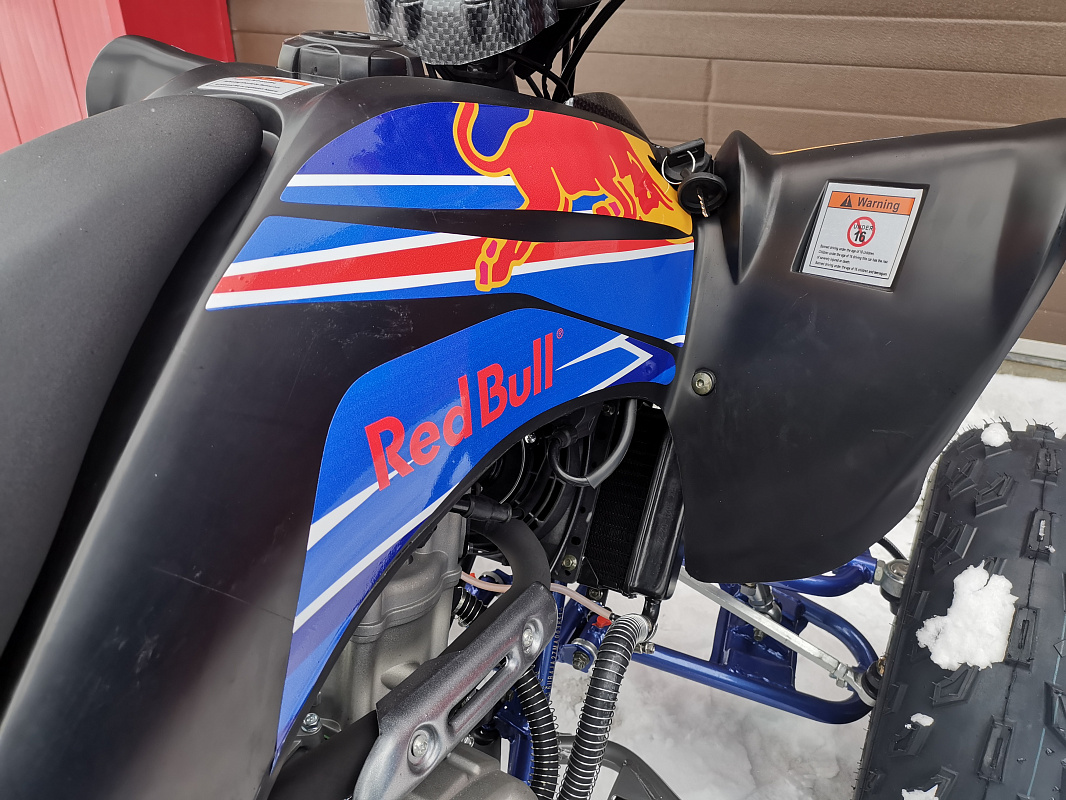 Квадроцикл PROMAX RAPTOR 300 NEW RedBull в Коломне