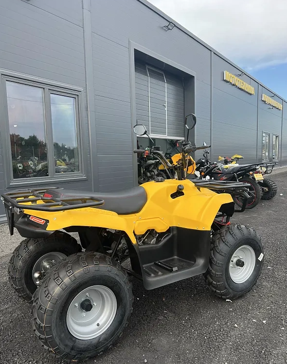 КВАДРОЦИКЛ IRBIS ATV 250  в Коломне