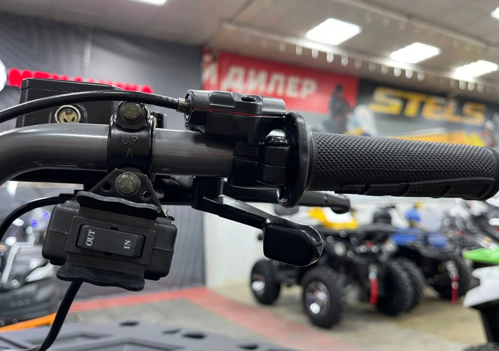 Квадроцикл PROMAX RENEGADE 300 LONG WINCH PRO (2025) в Коломне