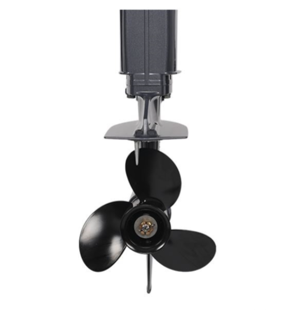 Лодочный мотор ALLFA CG Т40FW S в Коломне