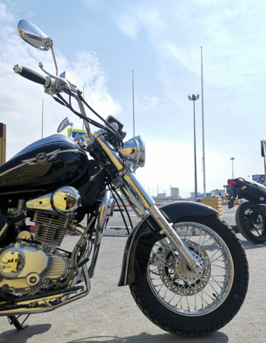 Мотоцикл MOTOLAND (МОТОЛЕНД) WOLF 250 в Коломне