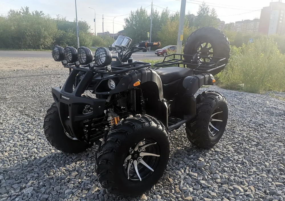 Квадроцикл PROMAX LEO 300 Max (кардан) в Коломне