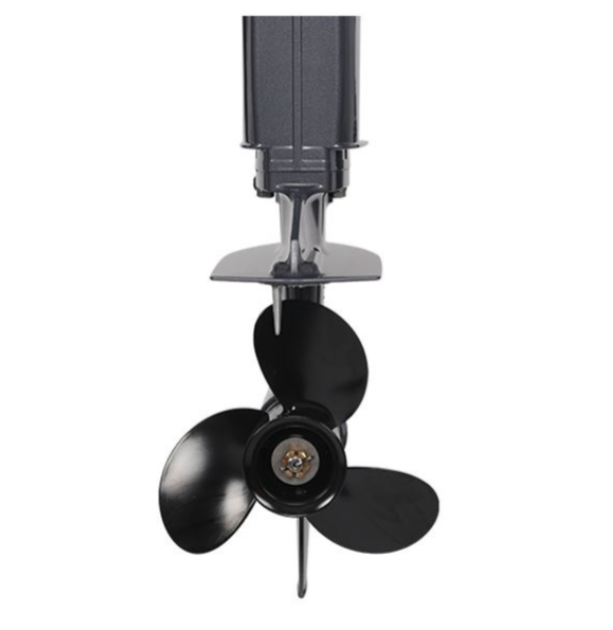 Лодочный мотор ALLFA CG Т40FWT S в Коломне