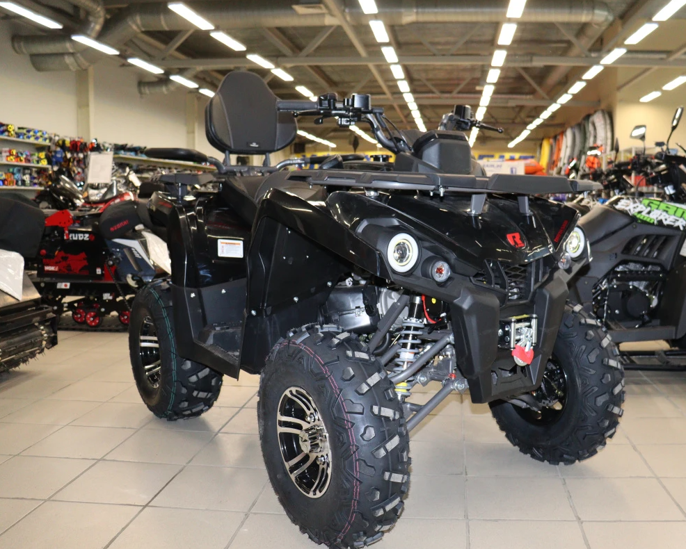 Квадроцикл PROMAX RENEGADE 300 LONG WINCH PRO (2025) в Коломне