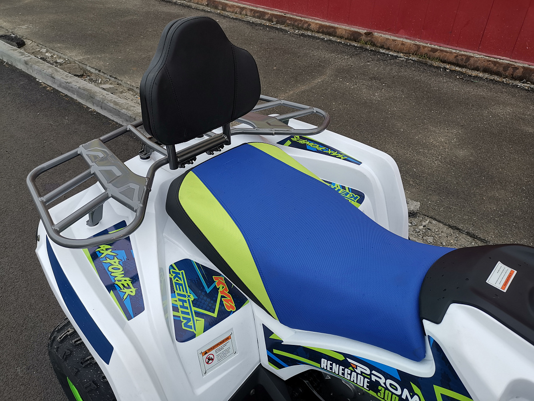 Квадроцикл PROMAX RENEGADE 280 LUX (2025) в Коломне