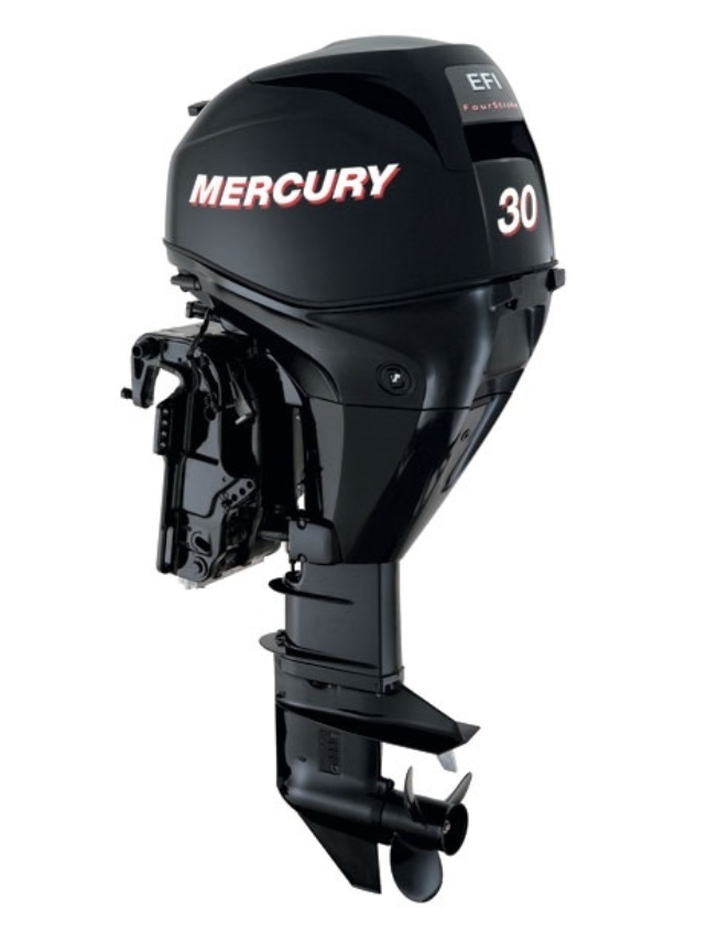 ЛОДОЧНЫЙ МОТОР MERCURY  F 30 ELH GA EFI в Коломне