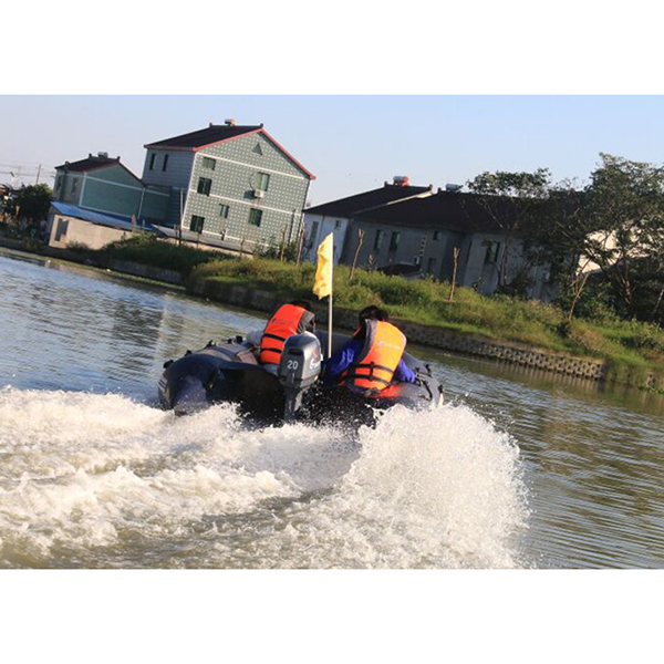 ЛОДОЧНЫЙ МОТОР ALLFA CG Т20 в Коломне