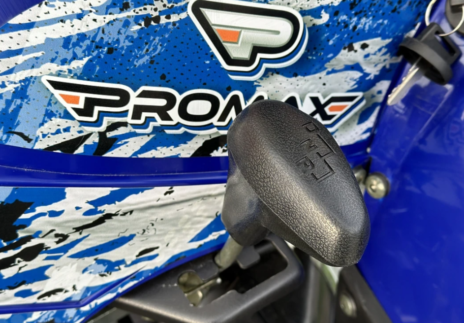  Квадроцикл PROMAX ATV 250 MAX (2025) в Коломне