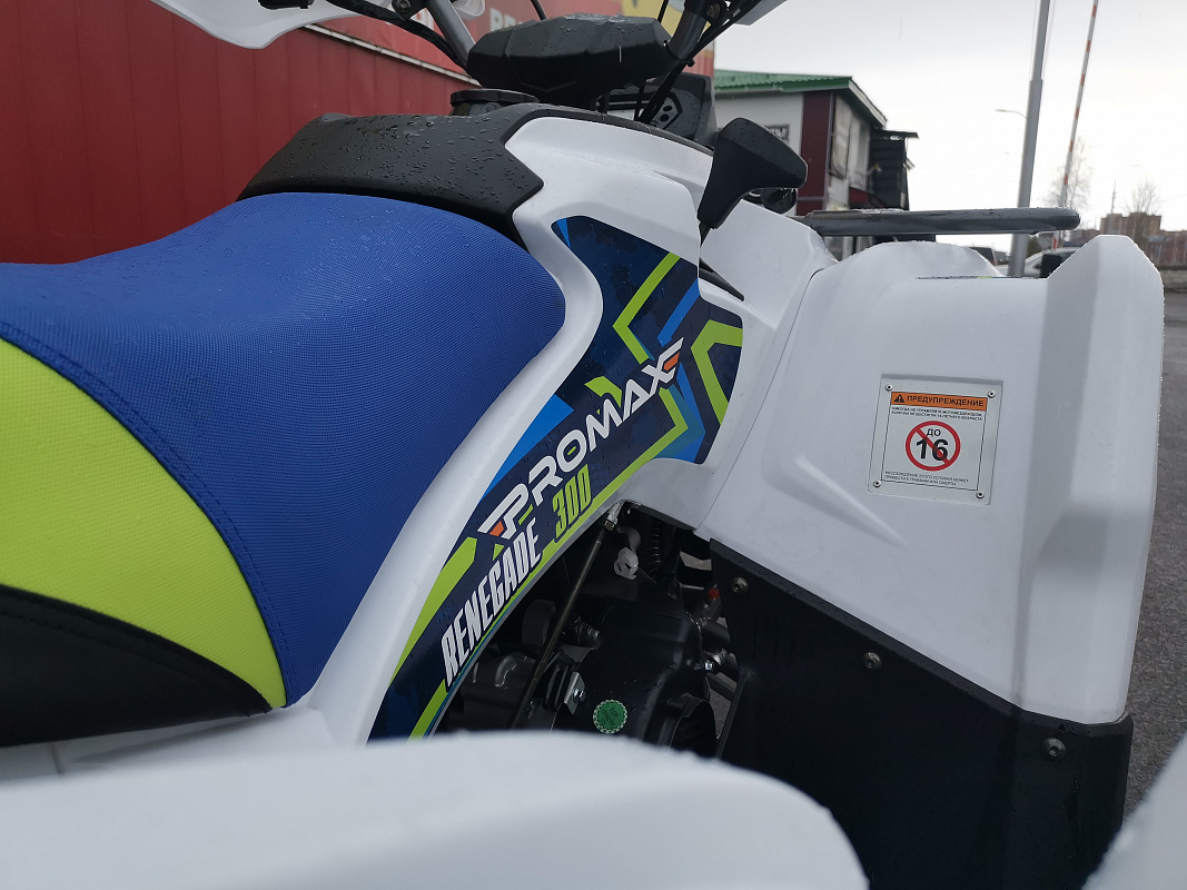 Квадроцикл PROMAX RENEGADE 280 LUX (2025) в Коломне