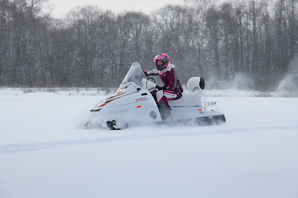 Снегоход Русская механика РМ TAYGA PATRUL 551 SWT в Коломне