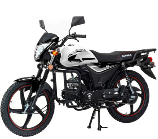 Мопед MOTOLAND (МОТОЛЕНД) Альфа RS 11 (LM48-B) в Коломне
