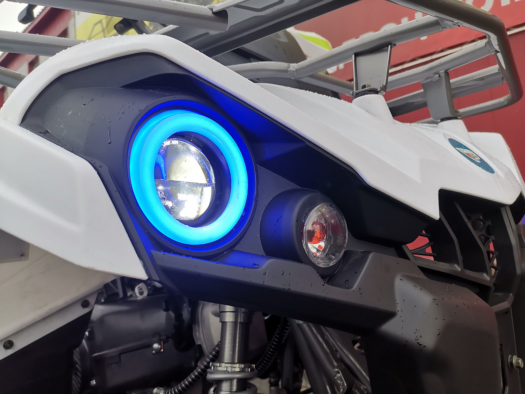 Квадроцикл PROMAX RENEGADE 280 LUX (2025) в Коломне