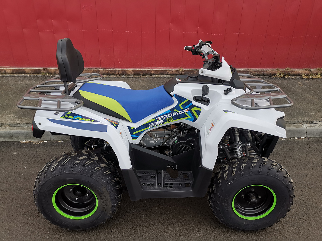 Квадроцикл PROMAX RENEGADE 280 LUX (2025) в Коломне