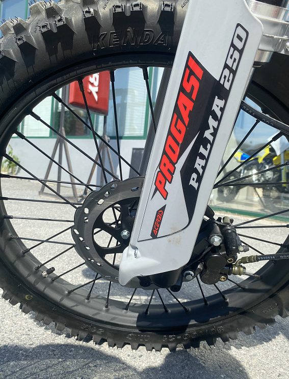 Мотоцикл Progasi PALMA 300 NEW (CB300F) в Коломне