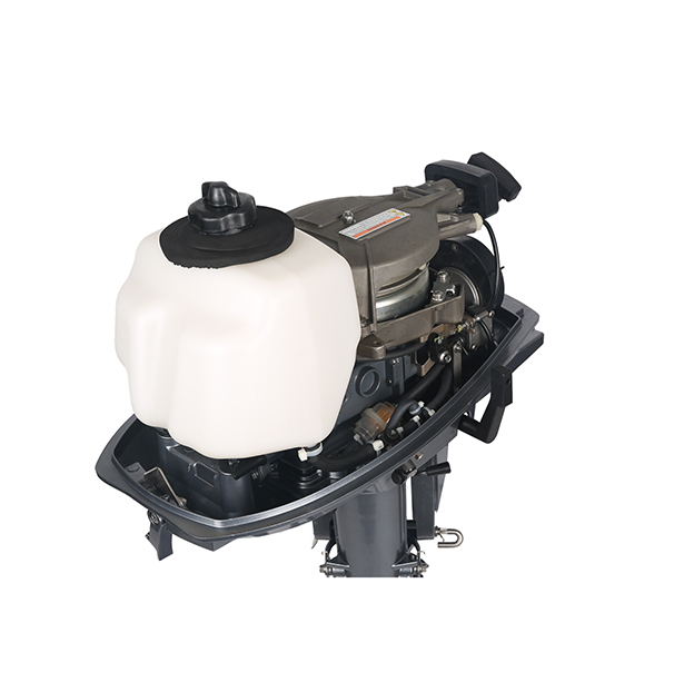 ЛОДОЧНЫЙ МОТОР ALLFA CG T5 в Коломне