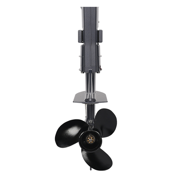 ЛОДОЧНЫЙ МОТОР ALLFA CG T5 в Коломне