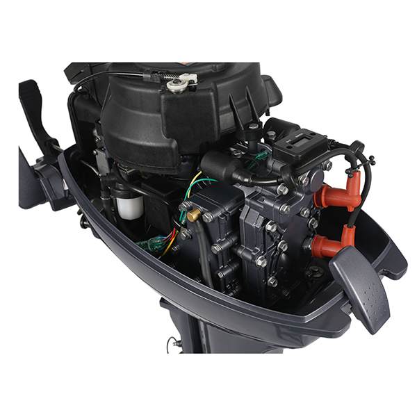 ЛОДОЧНЫЙ МОТОР ALLFA CG Т9,9 Limit в Коломне