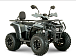 Квадроцикл YACOTA DRAGON LUX LD 150 PRO-SPORT в Коломне