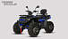 Квадроцикл PROMAX TAURUS 300 MAX-PRO LONG в Коломне