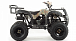 Квадроцикл MOTOLAND (МОТОЛЕНД) 200 ALL ROAD в Коломне