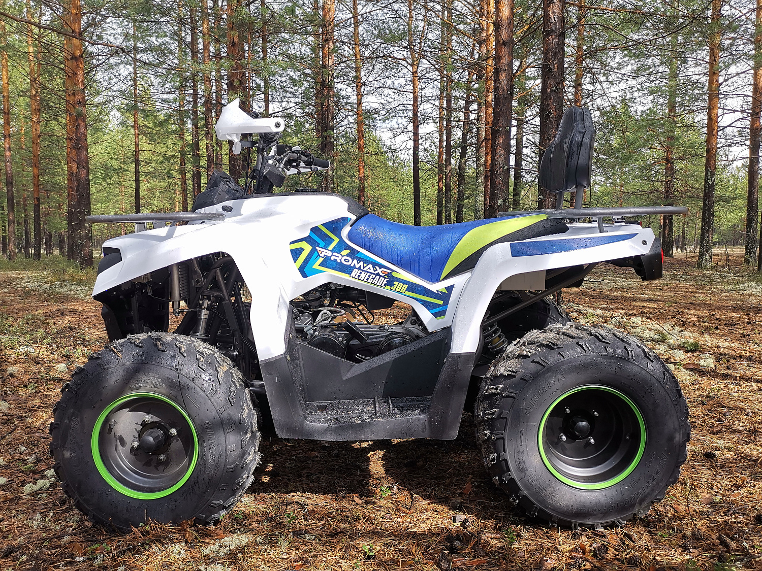 Квадроцикл PROMAX RENEGADE 280 (2025) в Коломне