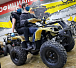 Квадроцикл PROMAX ATV 250 (2025) в Коломне