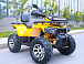 Квадроцикл MOTOLAND (МОТОЛЕНД) VOX200 WILD TRACK X PRO (баланс. вал) в Коломне