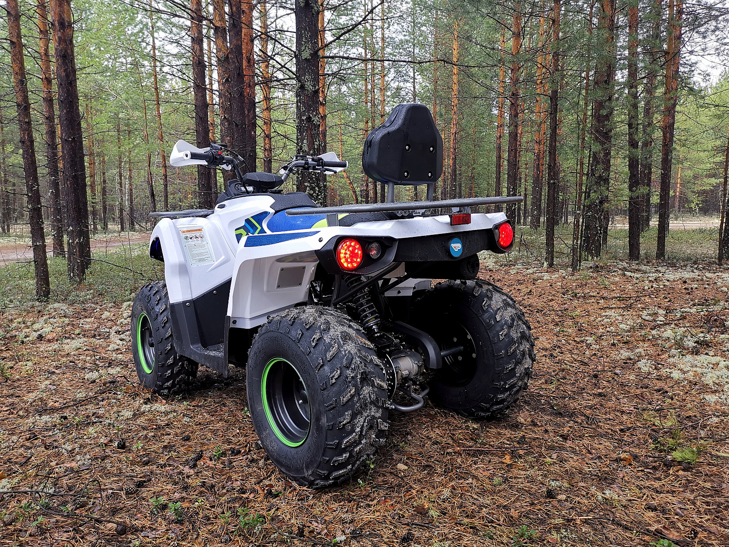 Квадроцикл PROMAX RENEGADE 280 (2025) в Коломне