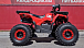 Квадроцикл PROMAX WILD 175 BASIC в Коломне