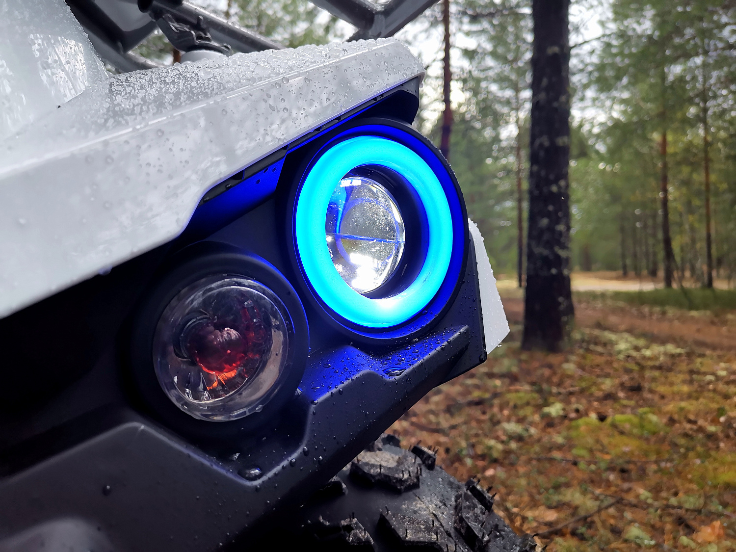 Квадроцикл PROMAX RENEGADE 280 (2025) в Коломне