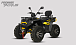 Квадроцикл PROMAX TAURUS 300 MAX-PRO LONG в Коломне